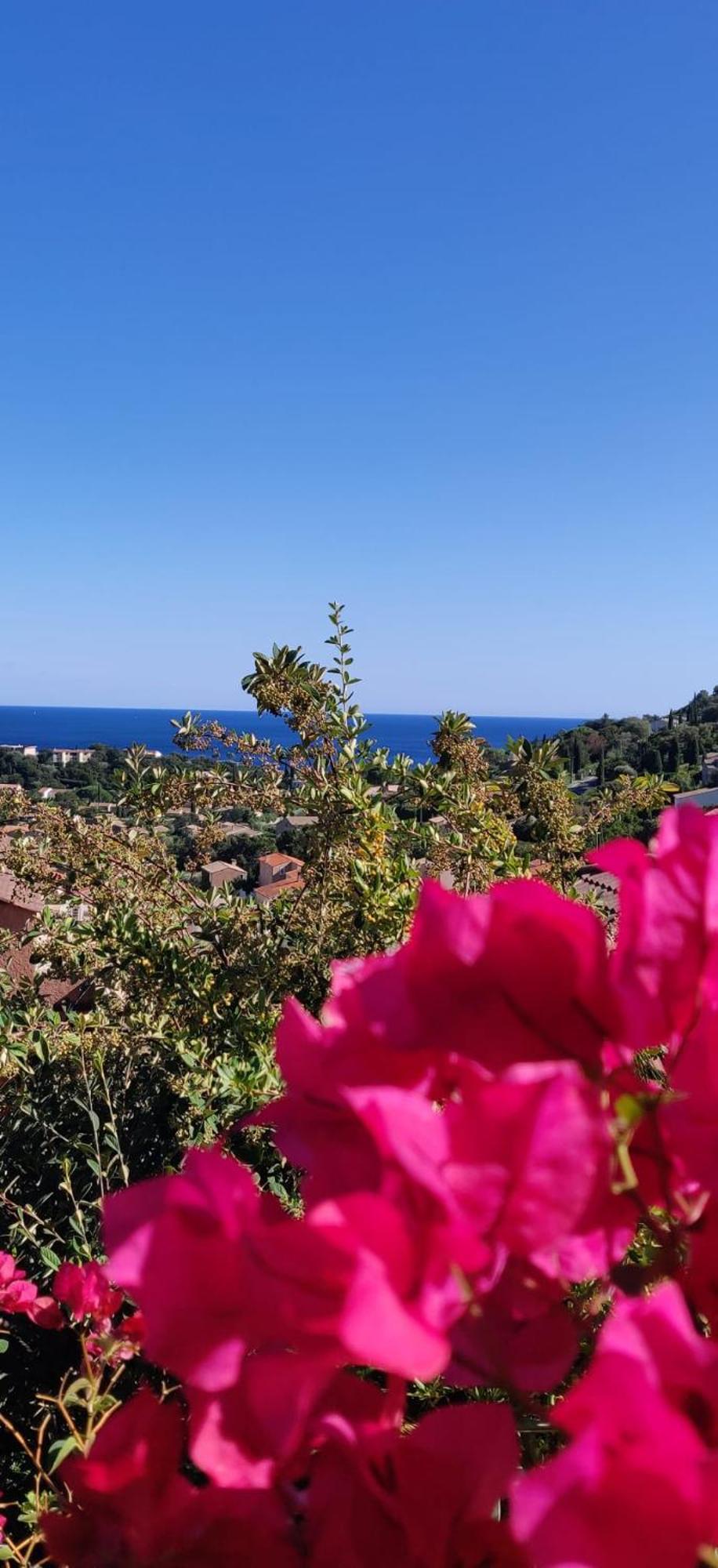 Ti Sable Climatisé, Jolie Vue Mer, Piscine à Sur Appartamento Cavalaire-sur-Mer